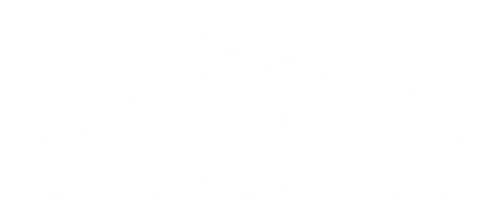 Logo Blink Charging Co.