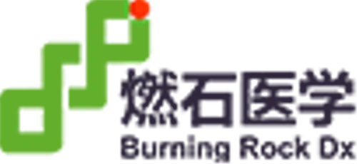 Logo Burning Rock Biotech Limited