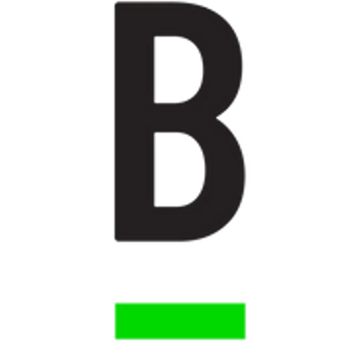 Logo Bridge Investment Group Holdings Inc.