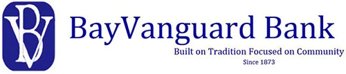 Logo BV Financial Inc.