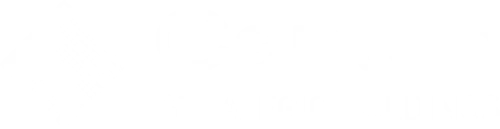 Logo Canton Strategic Holdings Inc. Common Stock