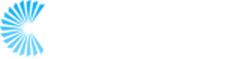 Logo Cycurion Inc. Common Stock
