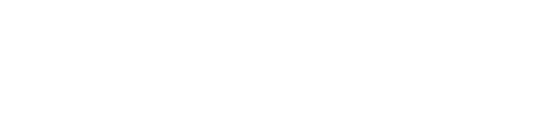 Logo DEVVSTREAM CORP