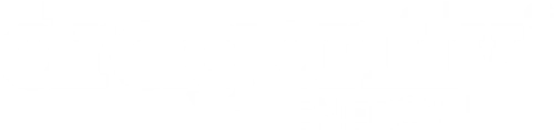 Logo Dragonfly Energy Holdings Corp. (NV)