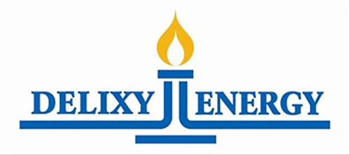 Logo Delixy Holdings Limited Ordinary Shares