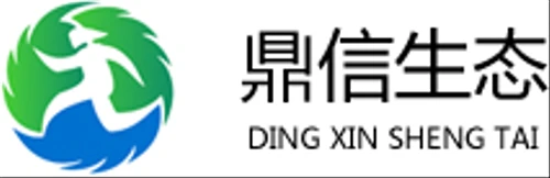 Logo DECENT HOLDING INC