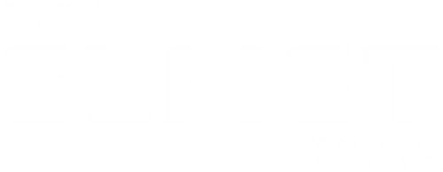 Logo The Elmet Group Co. Common Stock