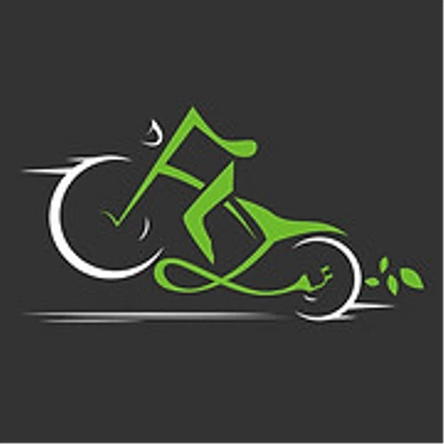Logo Fly-E Group Inc. Common Stock