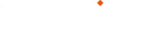 Logo Intrusion Inc.