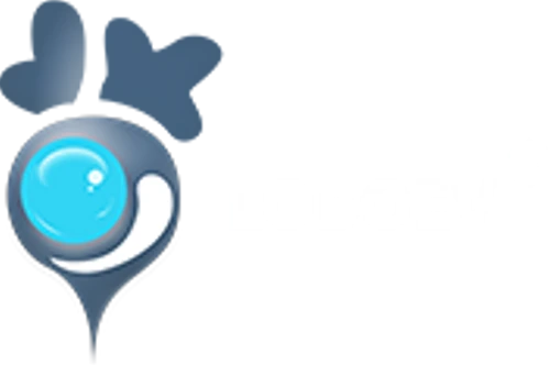 Logo LOBO EV TECHNOLOGIES LTD