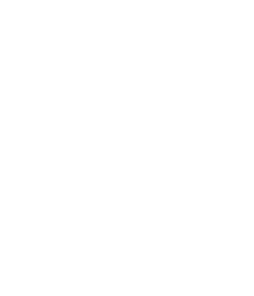 Logo Magic Software Enterprises Ltd.