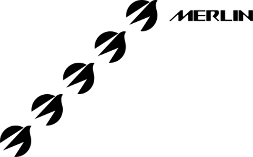 Logo Merlin Inc. Common Stock
