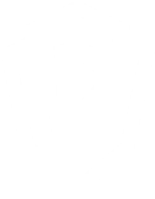 Logo PLAYSTUDIOS Inc. 