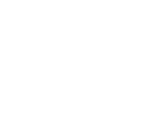 Logo NATIONAL ENERGY SVCS REUNITED CORP