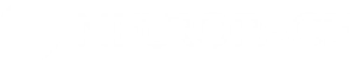 Logo Neuropace Inc.