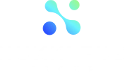Logo Nukkleus Inc.