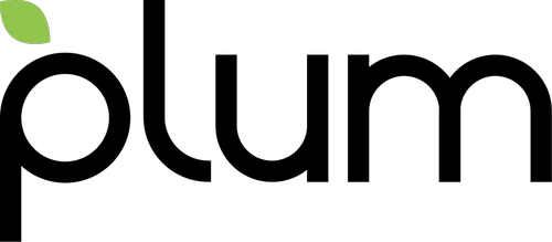 Logo PLUM ACQUISITION CORP IV