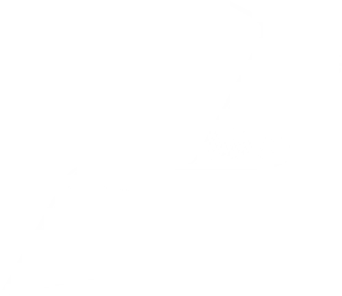 Logo Pliant Therapeutics Inc.