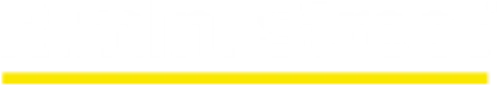 Logo Rimini Street Inc. (DE)