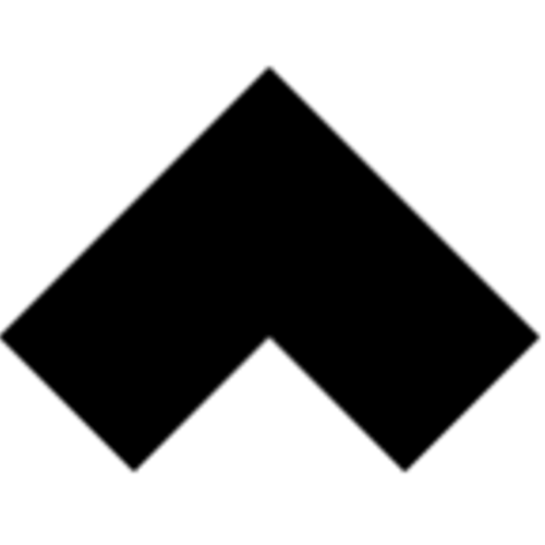 Logo Rank One Computing Corporation Common stock