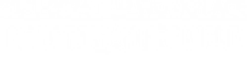 Logo SOLARIS ENERGY INFRASTRUCTURE INC