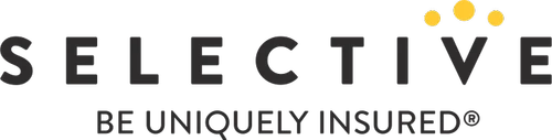 Logo Selective Insurance Group Inc. Depositary Shares each representing a 1/1000th interest in a share of 4.60% Non-Cumulative Preferred Stock Series B