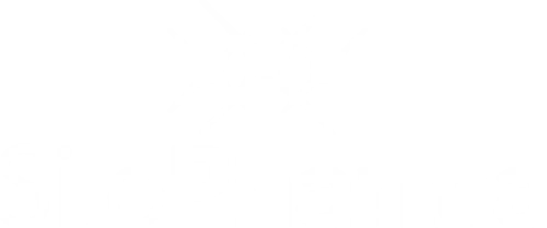 Logo Silo Pharma Inc.