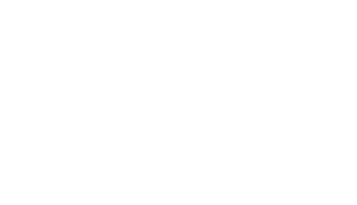 Logo Snail Inc.