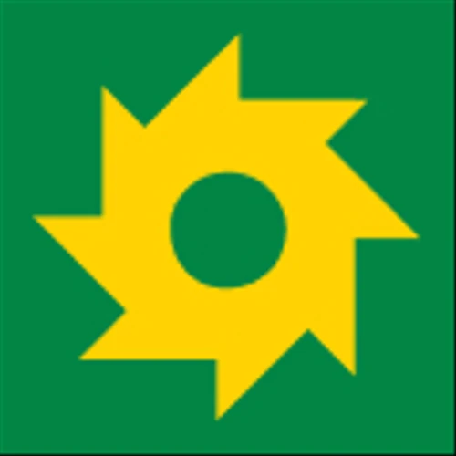 Logo Sunbelt Rentals Holdings Inc. Common Stock
