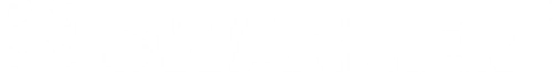 Logo Swarmer Inc Common Stock