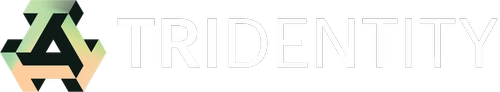 Logo TRIDENT DIGITAL TECH HOLDINGS LTD SPON ADS EACH REP 8 ORD CL B