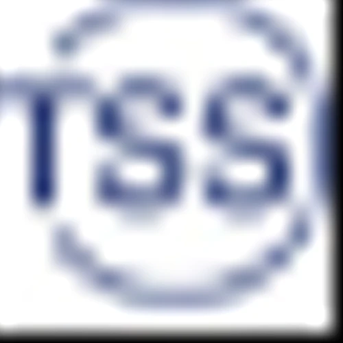 Logo TSS Inc. Common Stock