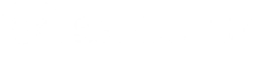 Logo StablecoinX Inc. Warrants