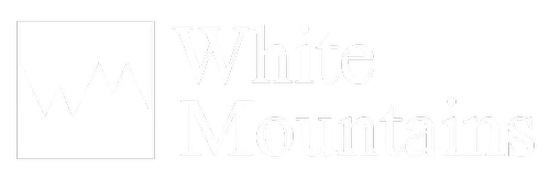Logo White Mountains Insurance Group Ltd.
