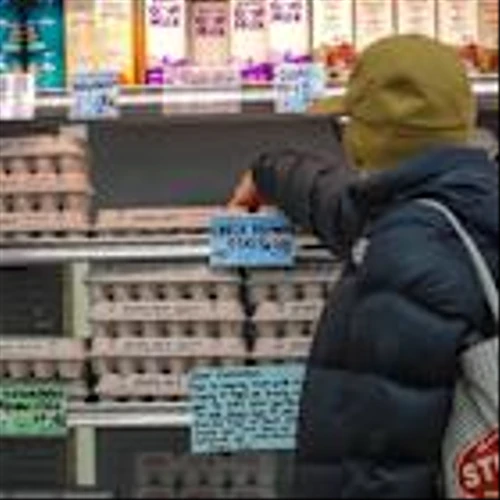 Egg prices soar to record high as DOJ investigates America's largest egg producer