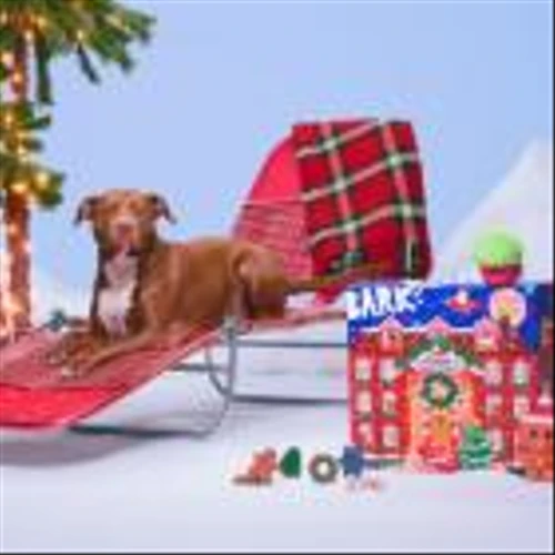 BARK Relaunches Fan-Favorite Advent Calendar for Dogs