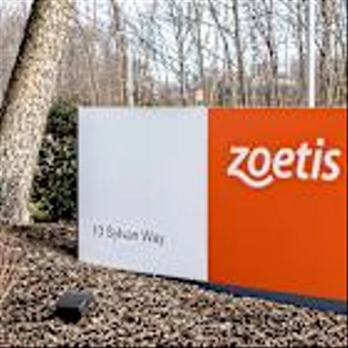 Zoetis Stock Is In The Doghouse Despite Its Quarterly Beat; Here's Why