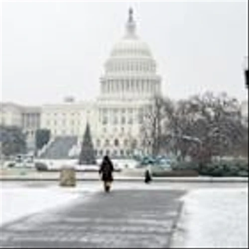 What's Going On With Circle and Coinbase Shares?