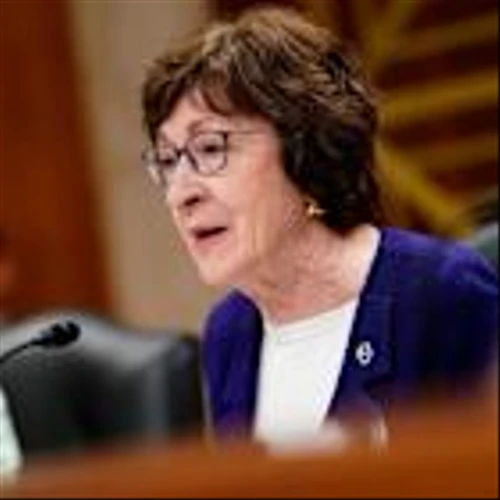 Fed's Collins says rate cuts later this year are possible