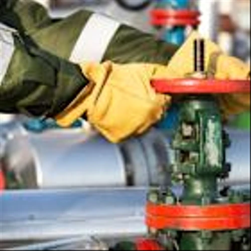 Ultrapar Participações S.A. (UGP): A Bull Case Theory