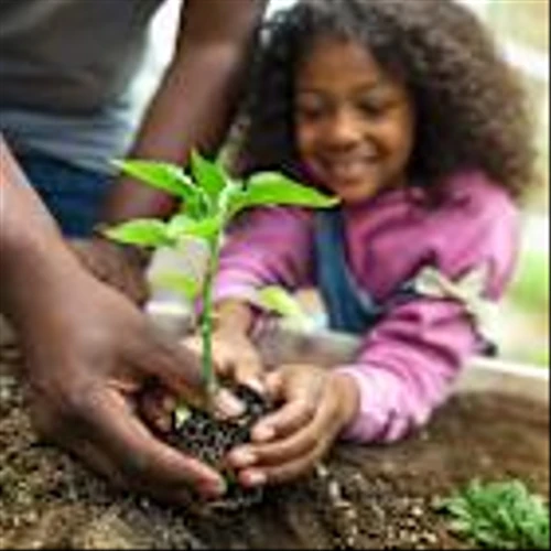 Why Scotts Miracle-Gro Stock Popped by 11% Today