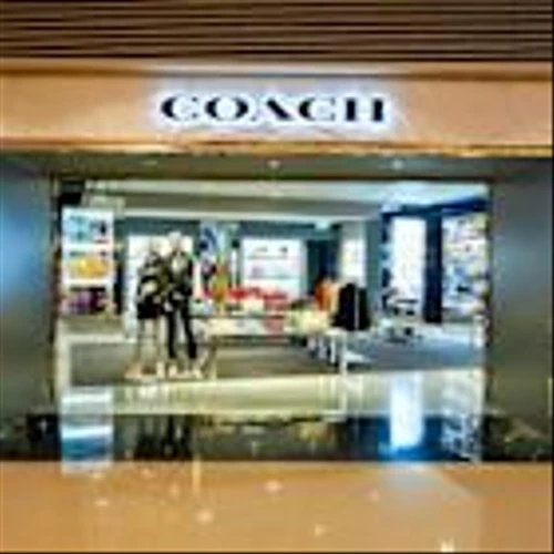 Coach Powers Tapestry's Momentum: Find Out What's Driving it