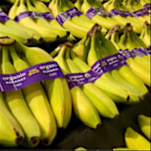 Organic sales were up 5.2% in 2024