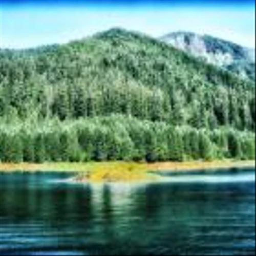 15 Best Places in Oregon For A Couple To Live On Only Social Security