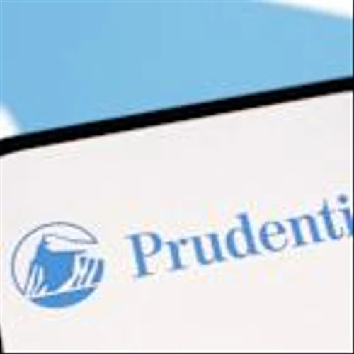 Prudential Financial Profit Climbs From Strong Market
