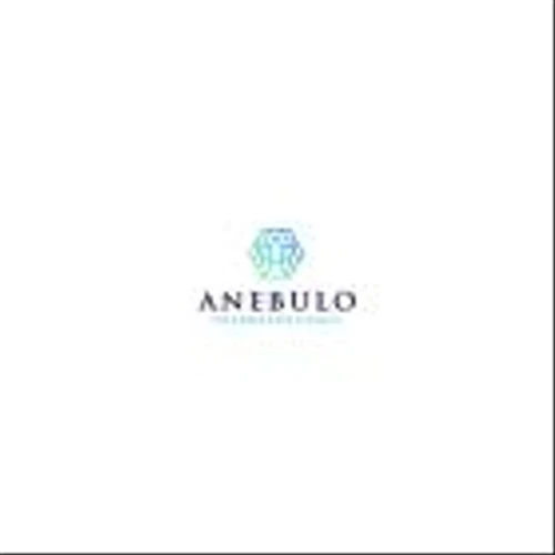 Anebulo Pharmaceuticals Reports First Quarter Fiscal Year 2025 Financial Results and Recent Updates