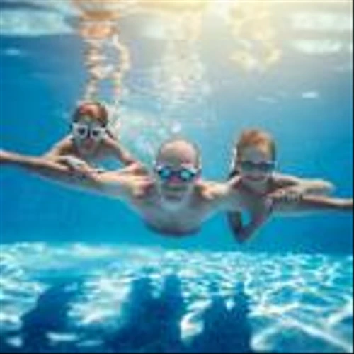 5 Dividend Stocks to Hold for the Next 10 Years