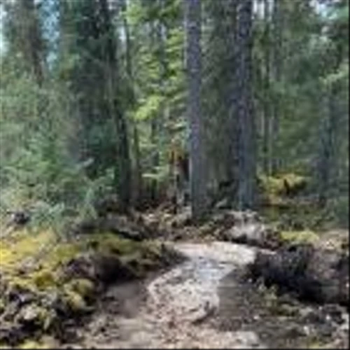 Snow Lake Initiates Exploration Program at Shatford Lake Lithium Project