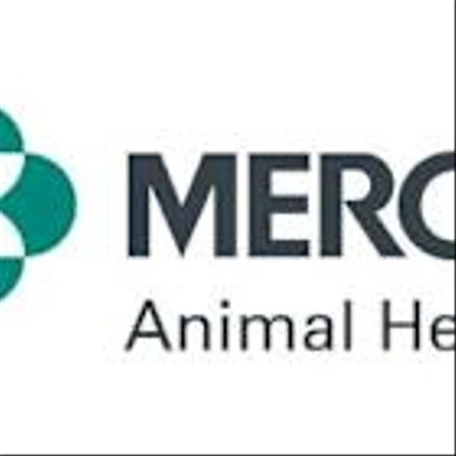 HEALTH CANADA Approves BRAVECTO® QUANTUM (Fluralaner for Extended-release Injectable Suspension) from Merck Animal Health