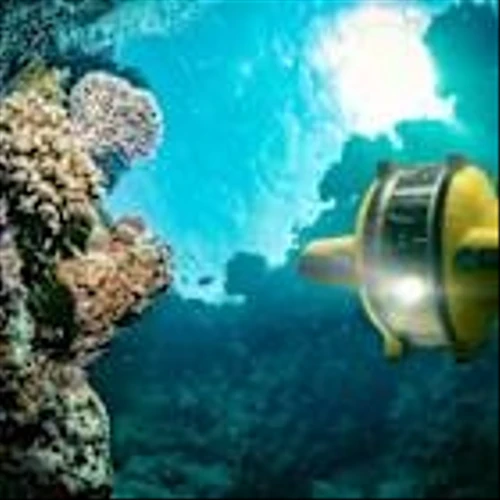 The Metals Company (TMC) Could Set You Up for Life (Or Go to $0)